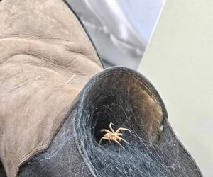 Vandaag niet naar binnen