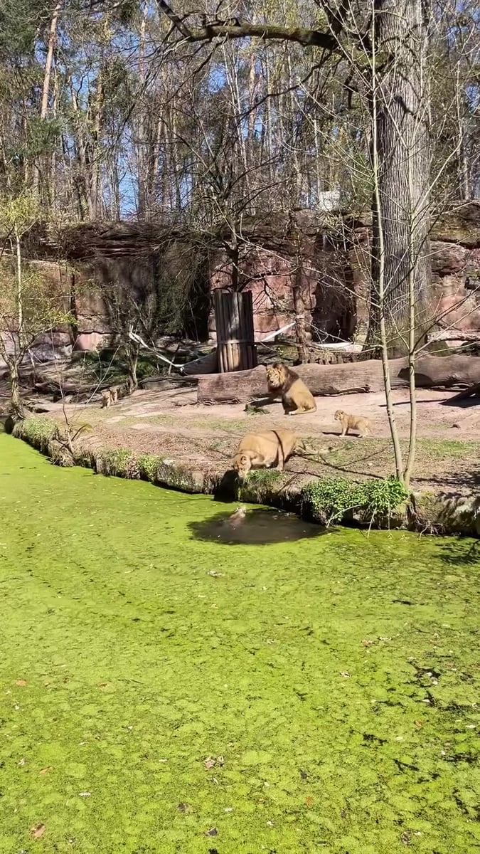 Ben je die kleine aan het redden?