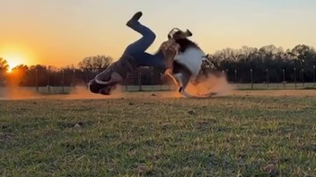 Geit laten zien wie de baas is