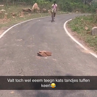 Mien neefje op de fietse 