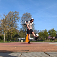 Het leven van een reaguurder.