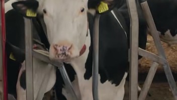 De grootste familie van Nederland