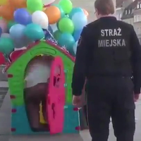 UP!