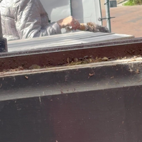 Samen zullen we alles delen