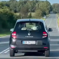 Kill and attack!