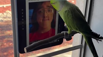 Social media is niet verslavend