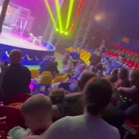 Tijger on the loose in circus