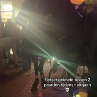Fietser gekneld tussen 2 politieagenten te paard