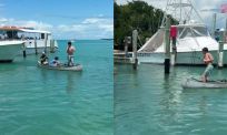 Megalops vangen in Florida kán niet goed gaan