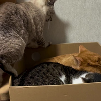 Is er nog een plekje vrij?