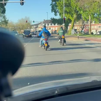 OMG ik heb het gefilmd 