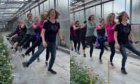 Pioenrozen worden weer hip dankzij dit dansje