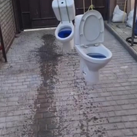 oh no toilet!