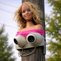 Dieven goed op beeld krijgen? 