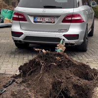 Worteltrekken met Mercedes