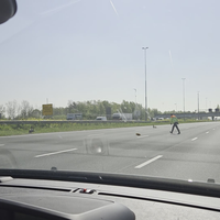 Familie gans steekt snelweg over 