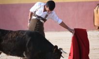 FAFO in de arena: matador gaat onderuit na keiharde klap van stier in Madrid