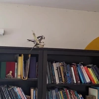 Mijn vogels hebben ook weekend