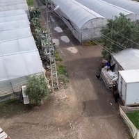 Alles is een huisdier