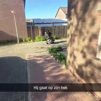Let's go loser we gaan...