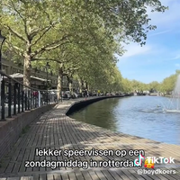 Speervissen aan de rotte 