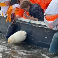 Tactisch Koningsdag barfje leggen in de water 
