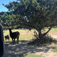 Wat lachen jullie nou