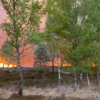 Bosbrand op militair oefenterrein Epe
