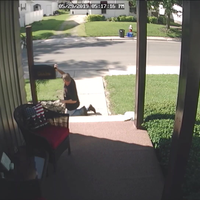 Slang in de brievenbus