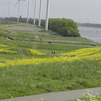 Ben niet gek ben een vliegtuig 