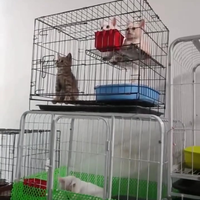 Verplicht kijkmateriaal 