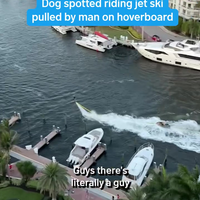 Stukje varen met je... 