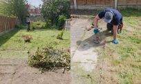 Tuin van jungle naar BBQ-plek in 5 uur? Video gaat los
