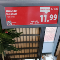 Inflatie is maar een mindset