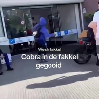 WTF. Gekken gooien cobra in zwembad De Fakkel