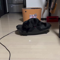 Nieuw speeltje gekocht 