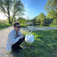 Man heeft zwaan als beste vriend