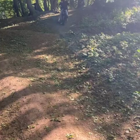 Fatbike door het bos