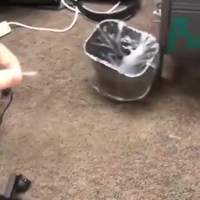 Pluisje met verlatingsangst
