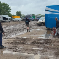 Sleurhut en dikke bmw uit de stront trekken 
