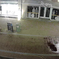 Fatbiker krijgt instant karma 