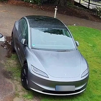 Vogel vs Tesla 