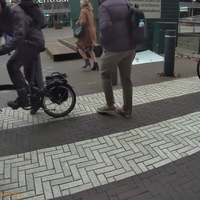 Even iemand herinneren dat een zebrapad is  