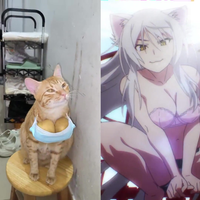 Peak cosplay
