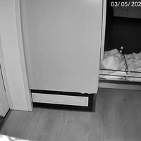 Kat doorzoekt de keuken
