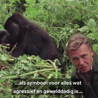 Hiep hiep hoera!