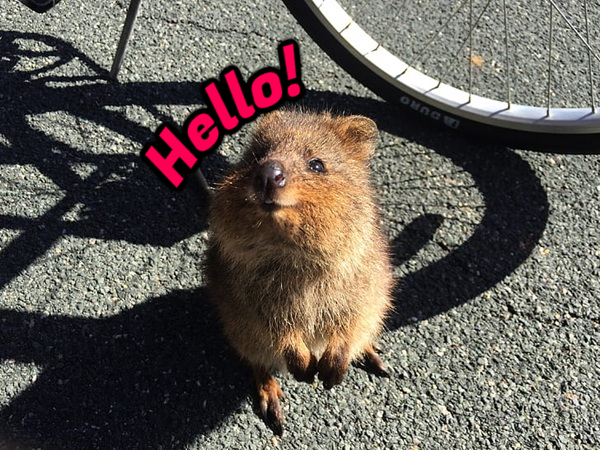 Daily Evening Randomness