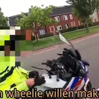 Doe wheelie