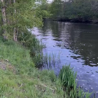 Bootje Testen