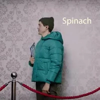 Het groentefeestje